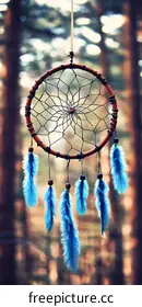 dreamcatcher