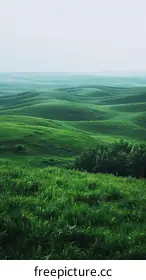 rolling hills