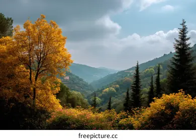 treescape