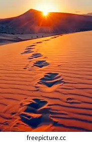 footprints