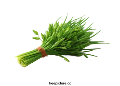 spring onion