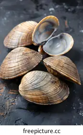 shellfish
