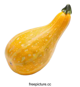 squash