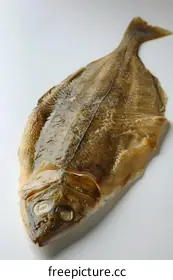 flatfish