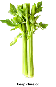 celery