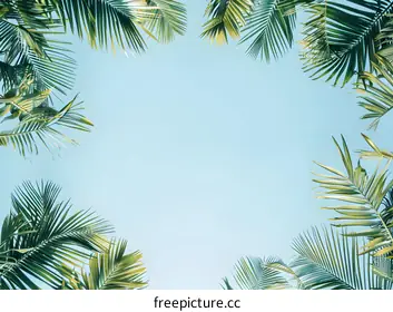 tropical background