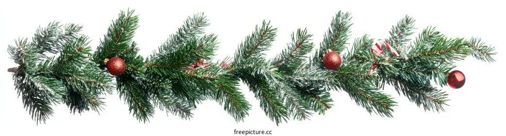 fir