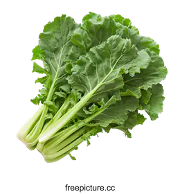 collard