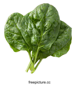 spinach