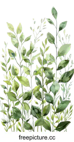foliage