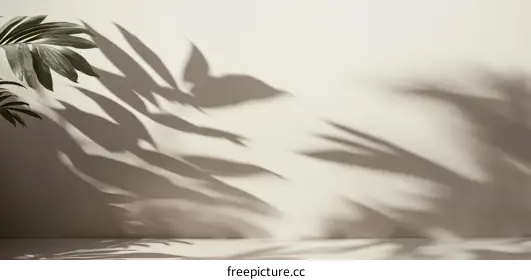 shadow art