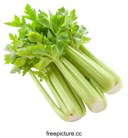 celery