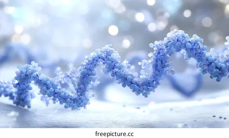 DNA