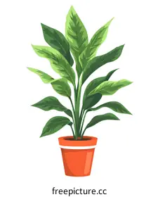 houseplant