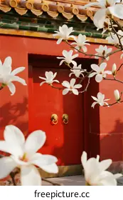 traditional architecture