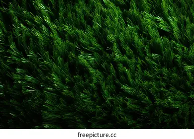 environmentally friendly