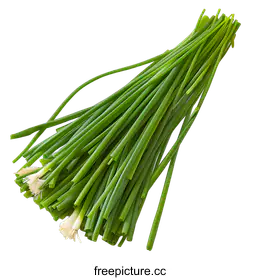 spring onion