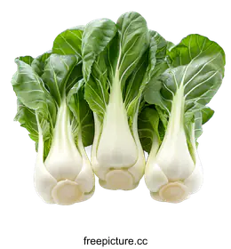 bok choy