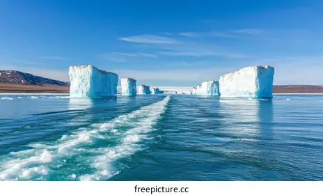 icebergs