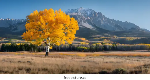 adventurephotography