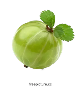 gooseberry