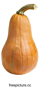 gourd