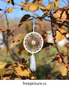 dreamcatcher