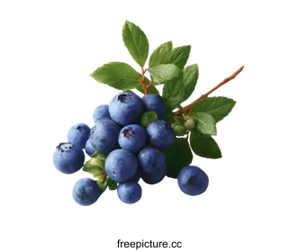 berries