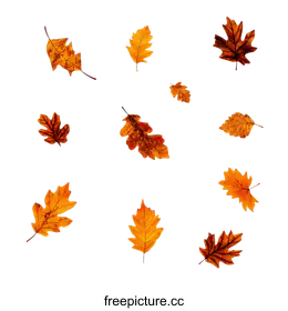 fallleaves