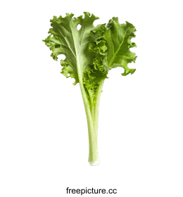 kale