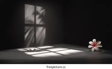 minimalist aesthetic