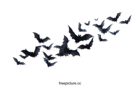 spooky bats