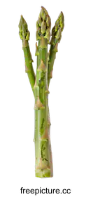 asparagus