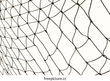 fishing net