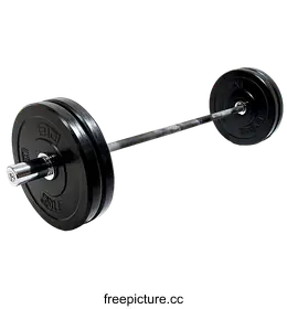 barbell