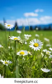 tranquility photography