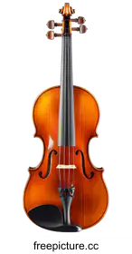 violin