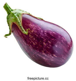 eggplant