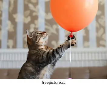 balloon