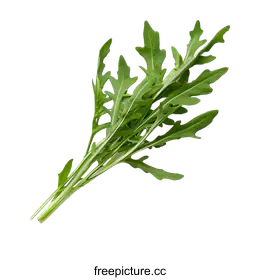 arugula