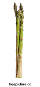 asparagus