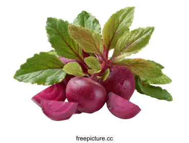 beetroot