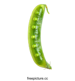 pea