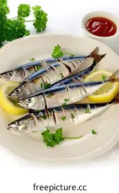 mackerel