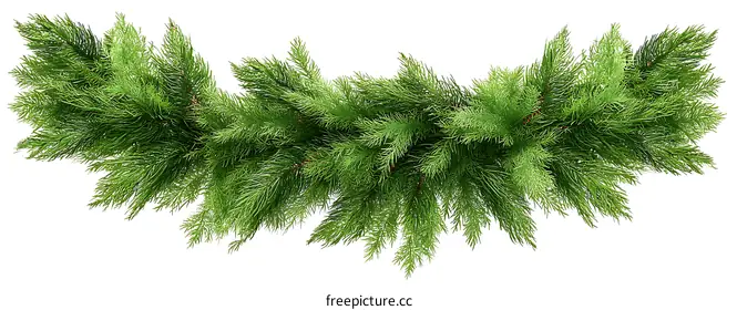 pine tree