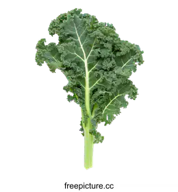 kale