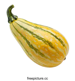 squash