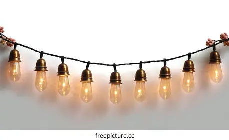 bulb