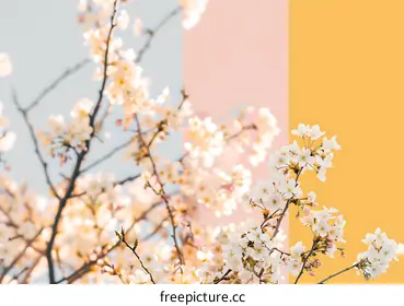 floral background
