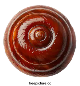 snail